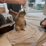 c91ddc71-13aa-4e2b-ab02-30a3e898537c