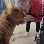 13e0bfe0-cb2a-4927-ae9a-e2919bc1f1b0