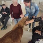 3d2f54ca-3d59-44dd-918b-47559443e2bf