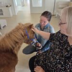 631ee144-4801-4f76-b5f3-77f8d6105c03