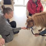 9edc8b61-419b-455d-8794-0167ca59ca89