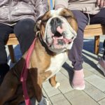 a3fa9abc-7858-4555-afbd-07c5b27a31f9